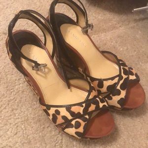 Cheetah wedges